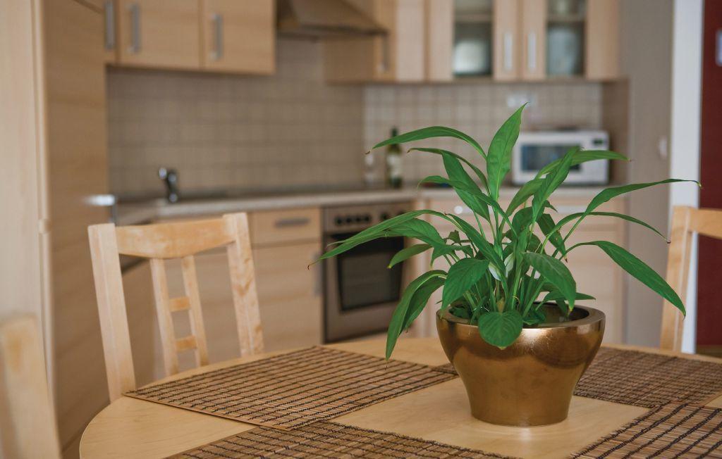 Bpm-Apartment Kiraly Budapest Værelse billede